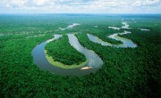 Amazon rainforest