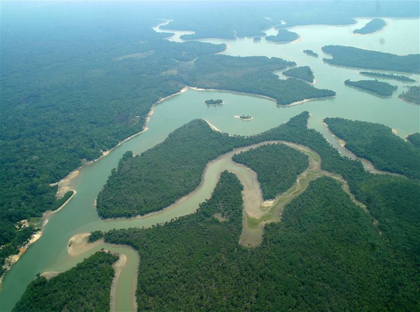 Amazonia rainforest