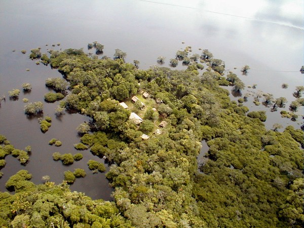 Amazonia rainforest