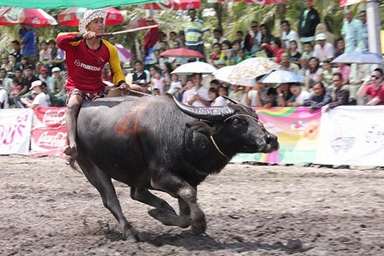 Chonburi 2011