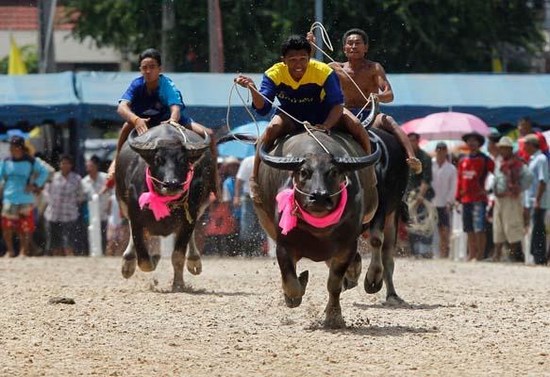 Chonburi 2011