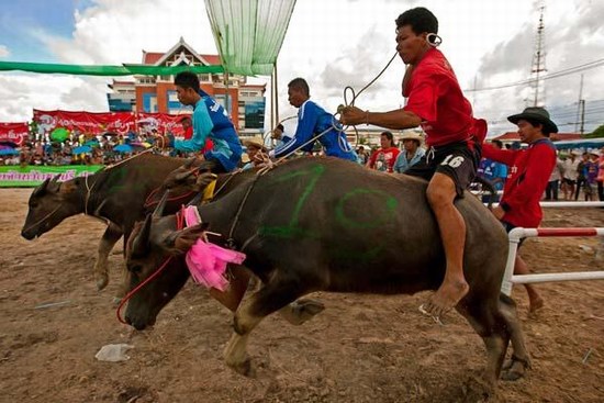 Chonburi 2011