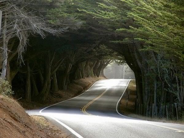 Amazing Roads