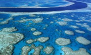 Coral Reef Barrier
