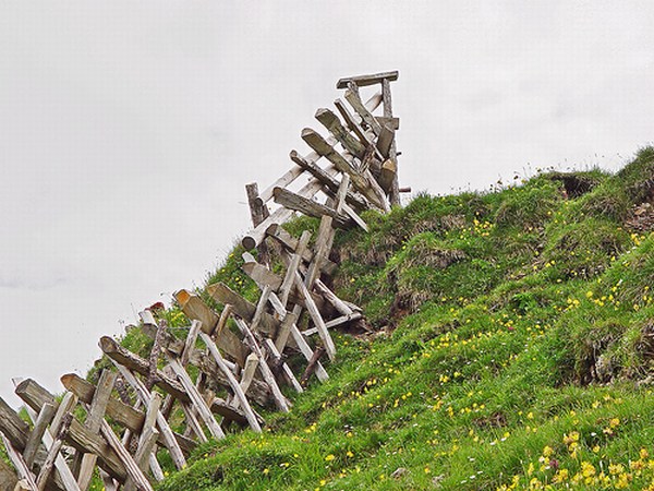 Strange Fences