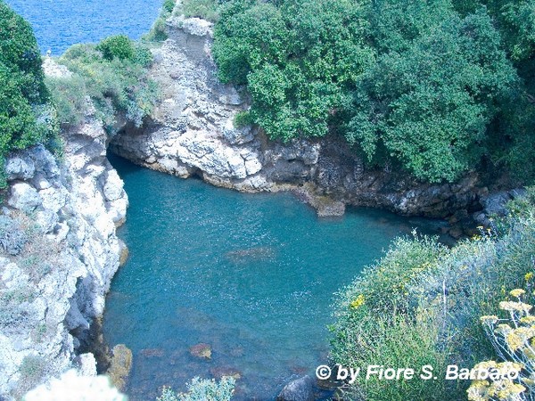 Capo di Sorrento - Italy