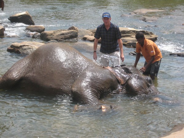 Elephant Orphanage, Sri Lanka