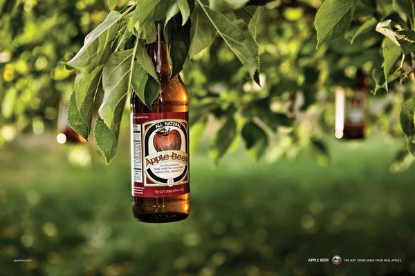 Apple Beer