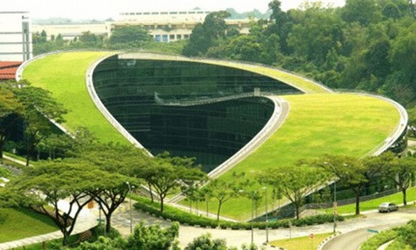 Green Turfed Roofscape