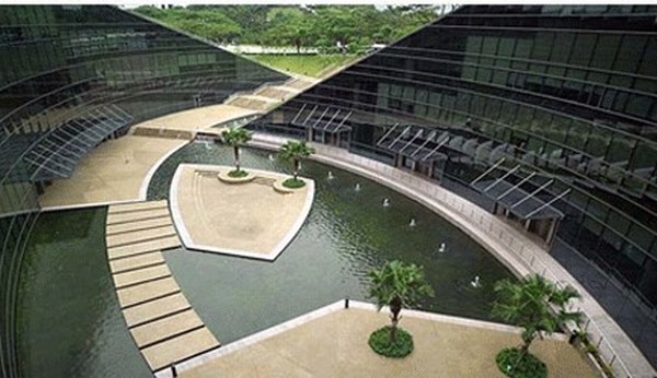 Green Turfed Roofscape