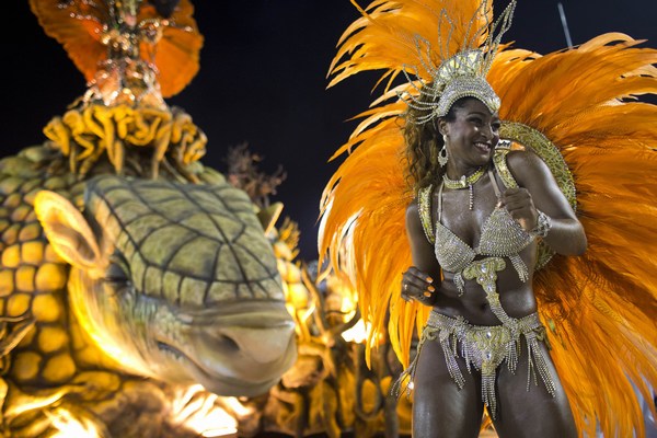Carnival in Rio de Janeiro - 2013