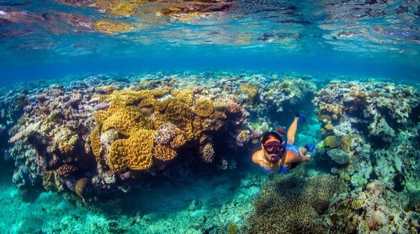 Great Barrier Reef, Australia